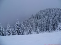 /album/montagnes-ii/courchevel-1650-sur-les-pistes-25-1-jpg/